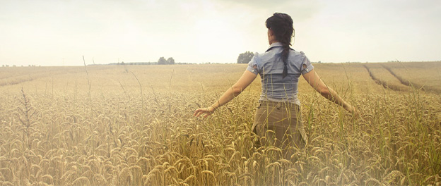 credit-compagne-agricol