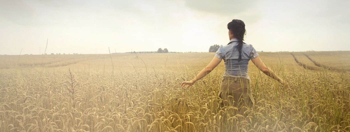 Crédit de campagne agricole